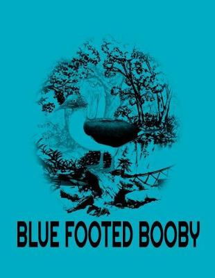 Book cover for Blue Footed Booby