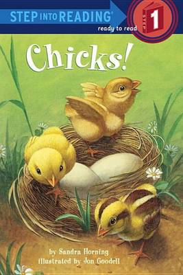 Book cover for Chicks!