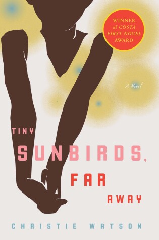 Cover of Tiny Sunbirds, Far Away