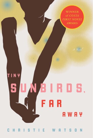 Book cover for Tiny Sunbirds, Far Away