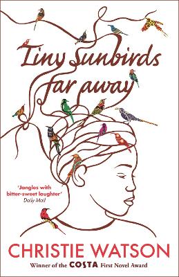 Book cover for Tiny Sunbirds Far Away