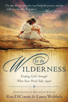 Book cover for In the Wilderness