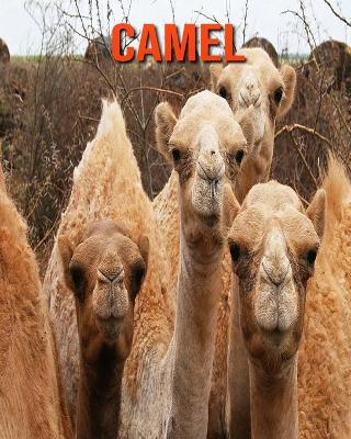 Book cover for Camel