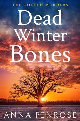 Book cover for Dead Winter Bones