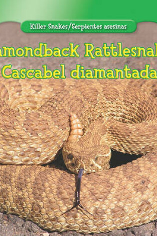 Cover of Diamondback Rattlesnake/Cascabel Diamantada