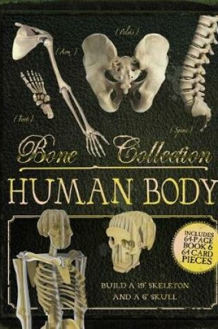 Cover of Bone Collection: Human Body