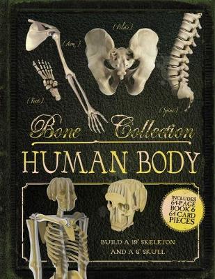 Book cover for Bone Collection: Human Body