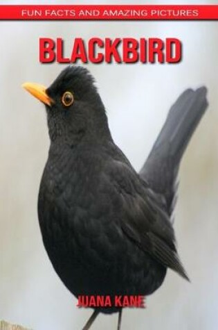 Cover of Blackbird