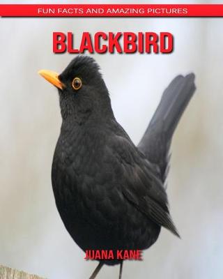 Book cover for Blackbird