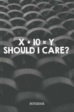 Cover of X + 10 = Y Should I Care?