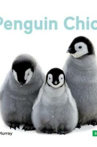 Cover of Penguin Chicks