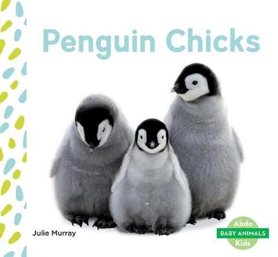 Book cover for Penguin Chicks