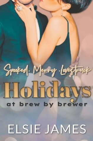 Cover of Holidays at Brew by Brewer