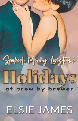 Book cover for Holidays at Brew by Brewer