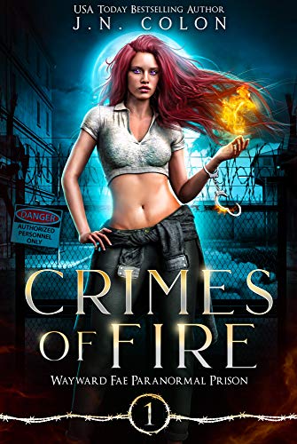Cover of Crimes of Fire