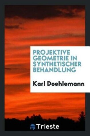 Cover of Projektive Geometrie in Synthetischer Behandlung