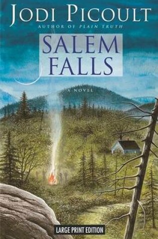 Cover of Salem Falls