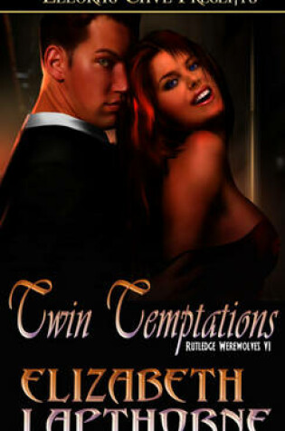 Cover of Twin Temptations