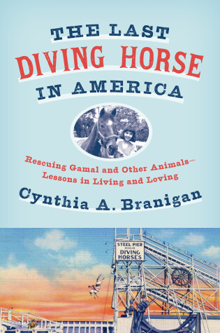 Cover of The Last Diving Horse in America