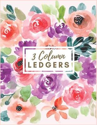 Book cover for 3 Column Ledgers