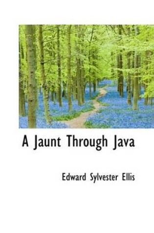 Cover of A Jaunt Through Java