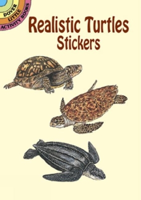 Book cover for Realistic Turtles Stickers