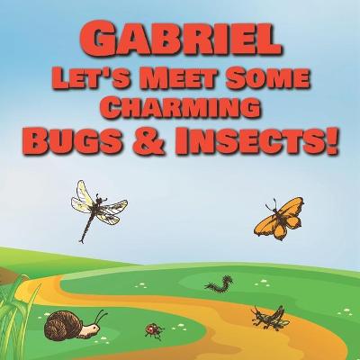 Book cover for Gabriel Let's Meet Some Charming Bugs & Insects!