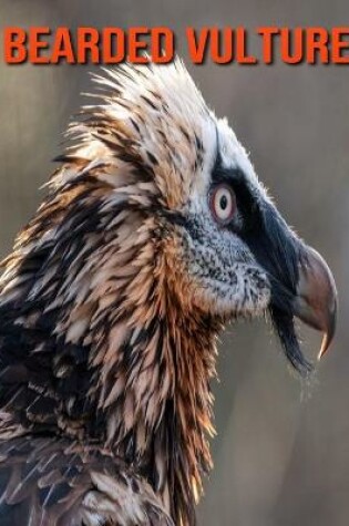 Cover of Bearded Vulture