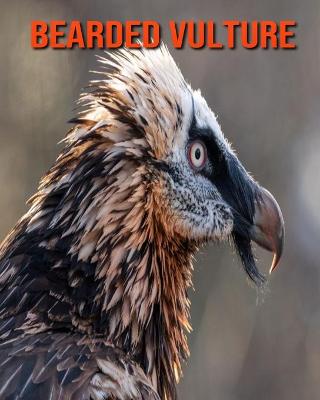 Book cover for Bearded Vulture