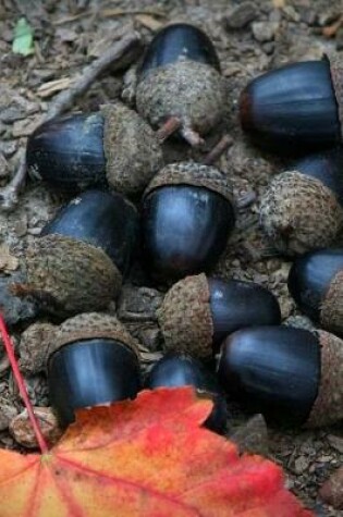 Cover of Black Acorns on the Forest Floor