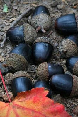 Book cover for Black Acorns on the Forest Floor