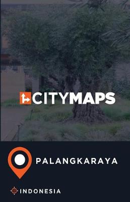 Book cover for City Maps Palangkaraya Indonesia