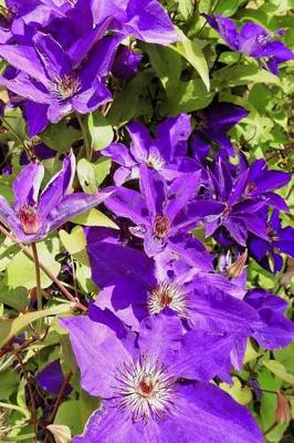 Book cover for A Purple Clematis Flower Journal