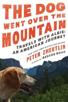 Book cover for The Dog Went Over the Mountain