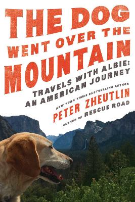 Book cover for The Dog Went Over the Mountain