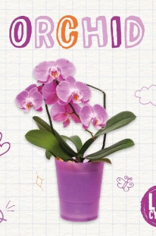 Cover of Orchid