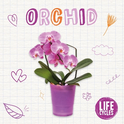 Book cover for Orchid