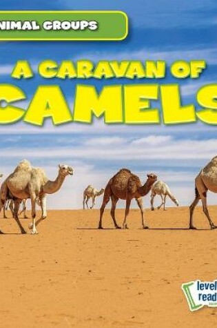 Cover of A Caravan of Camels