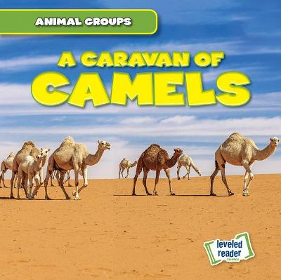 Cover of A Caravan of Camels