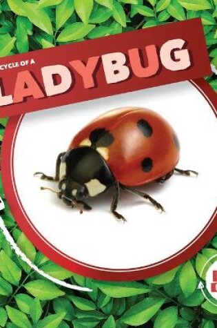 Cover of Life Cycle of a Ladybug