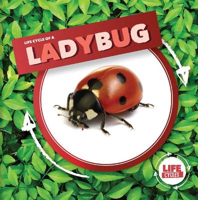 Cover of Life Cycle of a Ladybug