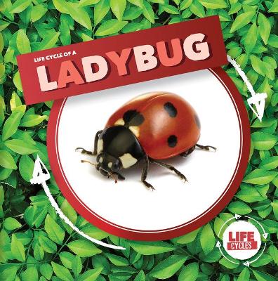 Book cover for Life Cycle of a Ladybug