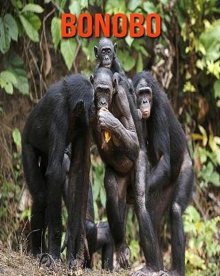 Book cover for Bonobo