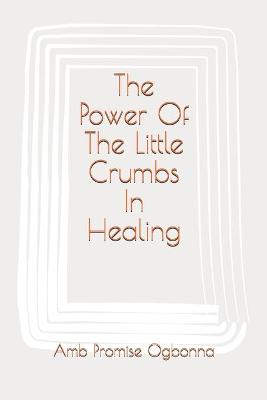 Book cover for The Power Of The Little Crumbs In Healing