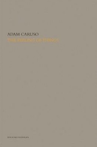 Cover of The Feeling of Things