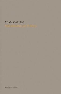 Book cover for The Feeling of Things