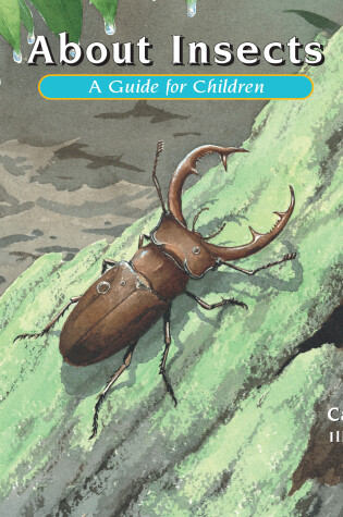 Cover of About Insects