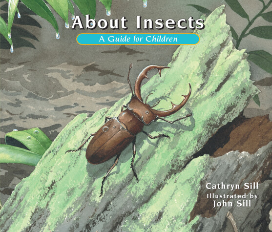 Book cover for About Insects