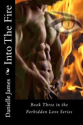 Book cover for Into The Fire