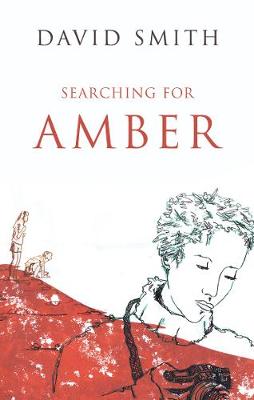 Book cover for Searching For Amber